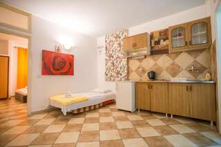 Апартаменты Tanja Apartments Рафаиловичи Апартаменты с 1 спальней-6